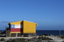 PAYSA_26922 - Punta Chorros, Amérique du Sud, Chili