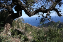 PAYSA_40146-1 - Balançoire / Swing _ Pic de l'ours, Saint Raphael, Var, France