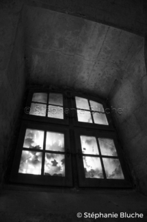 PAY_5946 - Arles, Bouches du Rhône, France