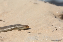 REP_0461 - Aglou, Maroc, Afrique du NordAglou, Morocco, South Africa