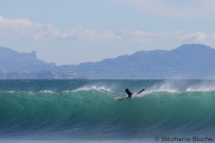 SPO_0407 - Surf _ La Couronne, Martigue, Bouches-du-Rhône, France